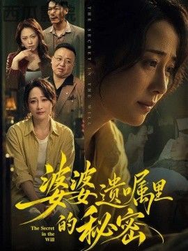 婆婆遗嘱里的秘密 现代都市在线观看